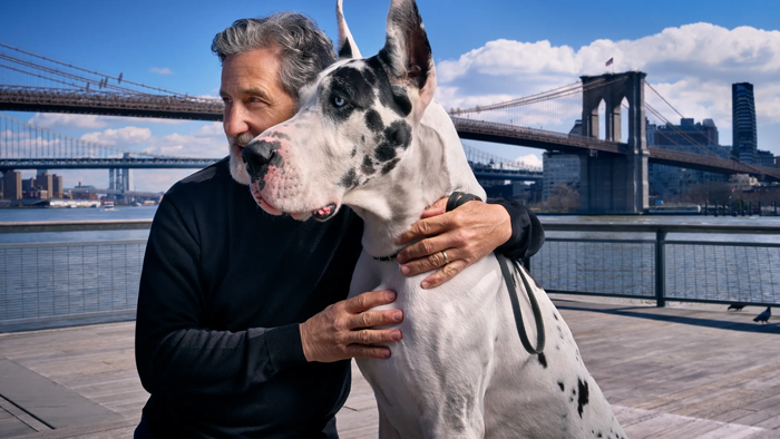 Newyorker